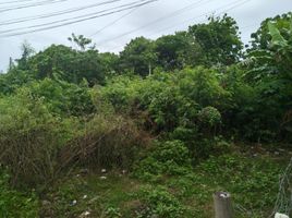  Land for sale in Cordova, Cebu, Cordova