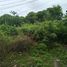  Land for sale in Cordova, Cebu, Cordova