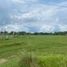  Land for sale in Oton, Iloilo, Oton