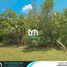  Land for sale in Muntinlupa City, Metro Manila, Muntinlupa City