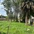  Land for rent in Calpan, Puebla, Calpan