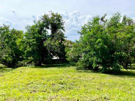  Terreno (Parcela) en venta en Calamba City, Calabarzon, Calamba City, Laguna, Calabarzon, Filipinas