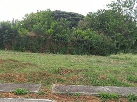  Land for sale in Palmira, Valle Del Cauca, Palmira