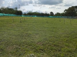  Grundstück zu verkaufen in Palmira, Valle Del Cauca, Palmira