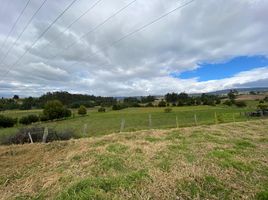 4 Habitación Villa en venta en Toca, Boyaca, Toca