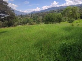  Terreno (Parcela) en venta en Girardota, Antioquia, Girardota