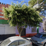 2 Schlafzimmer Haus zu verkaufen in Tultitlan, Mexico, Tultitlan