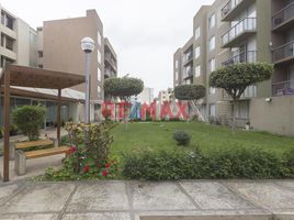 3 Habitación Departamento en alquiler en University of Piura (Lima campus), Miraflores, Santiago de Surco