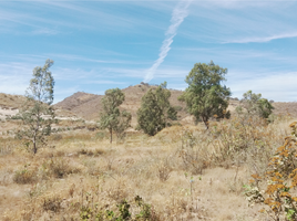 Terrain à vendre à Tlajomulco De Zuniga, Jalisco, Tlajomulco De Zuniga