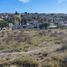  Land for sale in Purisima Del Rincon, Guanajuato, Purisima Del Rincon