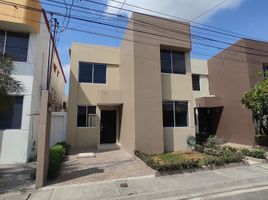 3 Habitación Casa en venta en Daule, Guayas, Daule, Daule