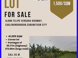  Land for sale in Cabanatuan City, Nueva Ecija, Cabanatuan City