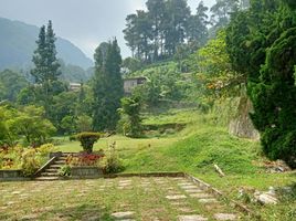  Land for sale in Cisarua, Bogor, Cisarua