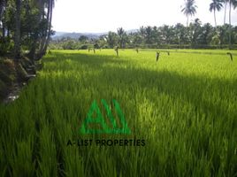  Land for sale in Mauban, Quezon, Mauban