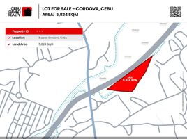  Terreno (Parcela) en venta en Lapu-Lapu City, Central Visayas, Lapu-Lapu City, Cebu