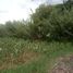  Land for sale in Dist Juchitan, Oaxaca, Dist Juchitan