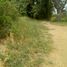  Land for sale in Dist Juchitan, Oaxaca, Dist Juchitan