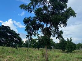  Land for sale in Carmona, Cavite, Carmona