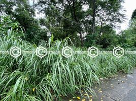  Land for sale in Pampanga, Central Luzon, Angeles City, Pampanga