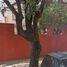Maison 4 chambre à vendre à Tultitlan, Mexico, Tultitlan