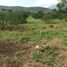  Land for sale in Giron, Santander, Giron