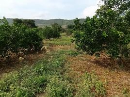  Land for sale in Santander, Giron, Santander