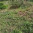  Land for sale in Giron, Santander, Giron