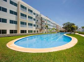 2 Habitación Departamento en alquiler en Cozumel, Quintana Roo, Cozumel, Quintana Roo