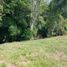 Terrain à vendre à Pereira, Risaralda, Pereira, Risaralda
