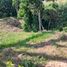Terrain à vendre à Pereira, Risaralda, Pereira, Risaralda