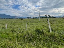  Land for sale in Pitalito, Huila, Pitalito