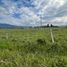  Land for sale in Pitalito Huila, Pitalito