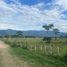  Land for sale in Pitalito, Huila, Pitalito