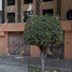 4 Schlafzimmer Wohnung zu verkaufen in Naucalpan De Juarez, Mexico, Naucalpan De Juarez, Mexico, Mexiko
