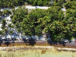  Grundstück zu verkaufen in Othon P Blanco, Quintana Roo, Othon P Blanco