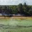  Terrain for sale in Othon P Blanco, Quintana Roo, Othon P Blanco