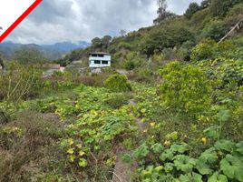  Land for sale in Patate, Tungurahua, Los Andes Cab En Poatug, Patate