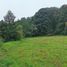  Land for sale in Mineral Del Monte, Hidalgo, Mineral Del Monte