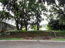  Land for sale in Rizal, Calabarzon, Antipolo City, Rizal