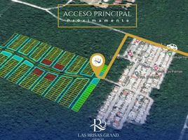  Land for sale in Cozumel, Quintana Roo, Cozumel, Quintana Roo
