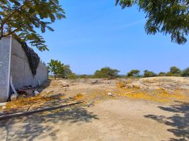  Terreno (Parcela) en venta en Piura, Piura, Piura, Piura