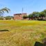  Terreno (Parcela) en venta en Piura, Piura, Piura, Piura