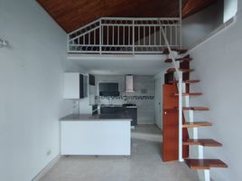 1 Bedroom Condo for rent in Dosquebradas, Risaralda, Dosquebradas