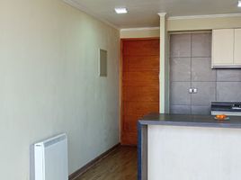 1 Schlafzimmer Appartement zu vermieten in Puente Alto, Cordillera, Puente Alto