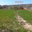  Terreno (Parcela) en venta en Zapotitlan, Puebla, Zapotitlan