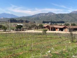  Terreno (Parcela) en venta en Melipilla, Santiago, Maria Pinto, Melipilla