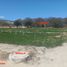  Land for sale in Zapotitlan, Puebla, Zapotitlan