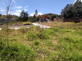  Land for sale in Alangasi, Quito, Alangasi