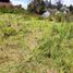  Land for sale in Alangasi, Quito, Alangasi