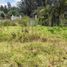  Land for sale in Alangasi, Quito, Alangasi